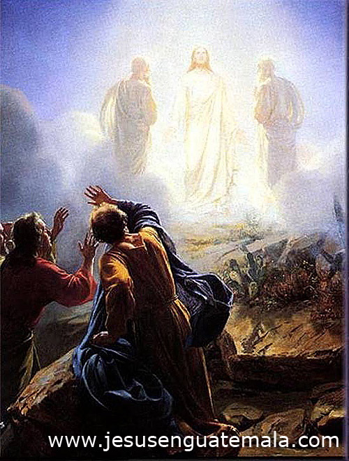 ASCENSIÓN DEL HIJO DE DIOS