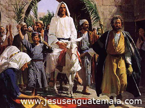 ENTRADA TRIUNFAL DEL HIJO DE DIOS