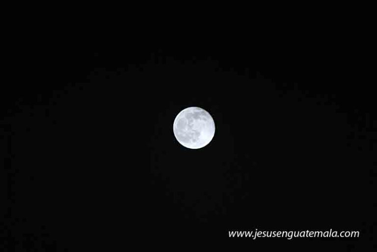 Procesion Virgen del Rosario 049 copy