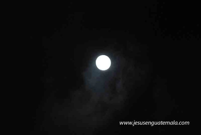 Procesion Virgen del Rosario 056 copy