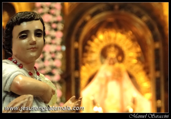 proce infantil vr 31