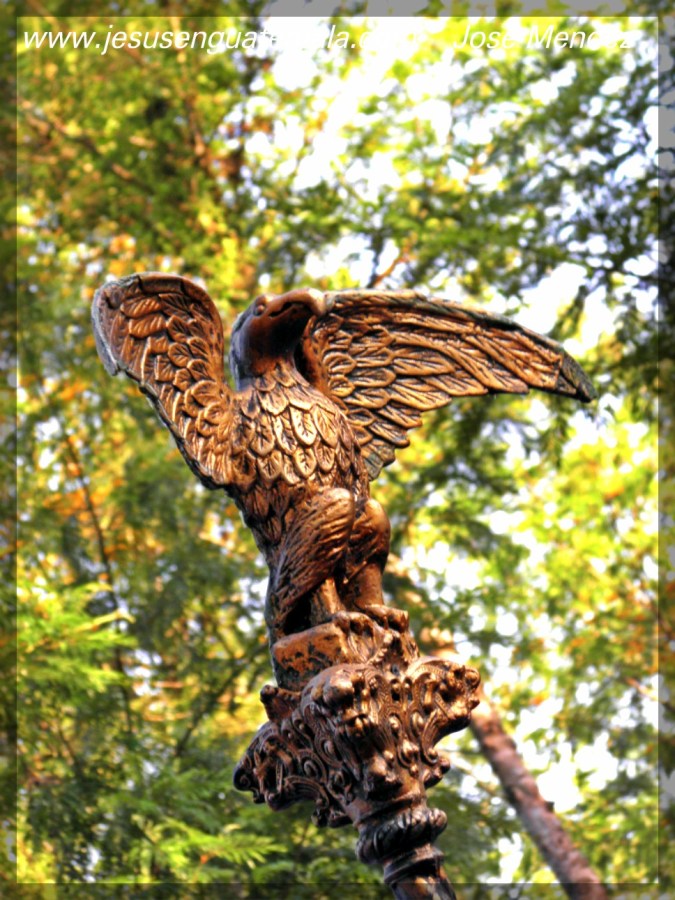 befunky fotos 2013 0201