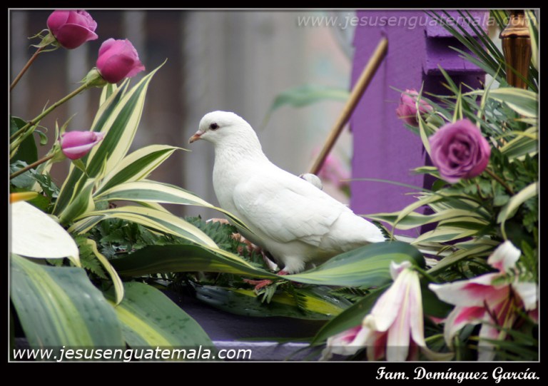 C.I.-VdeD-San-Juan-de-Dios-17