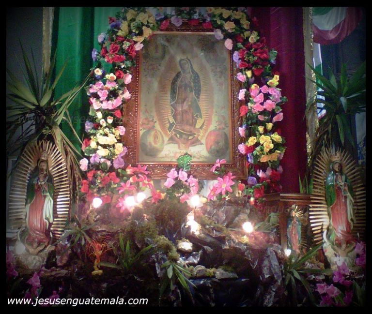 img01281 20131211 2226