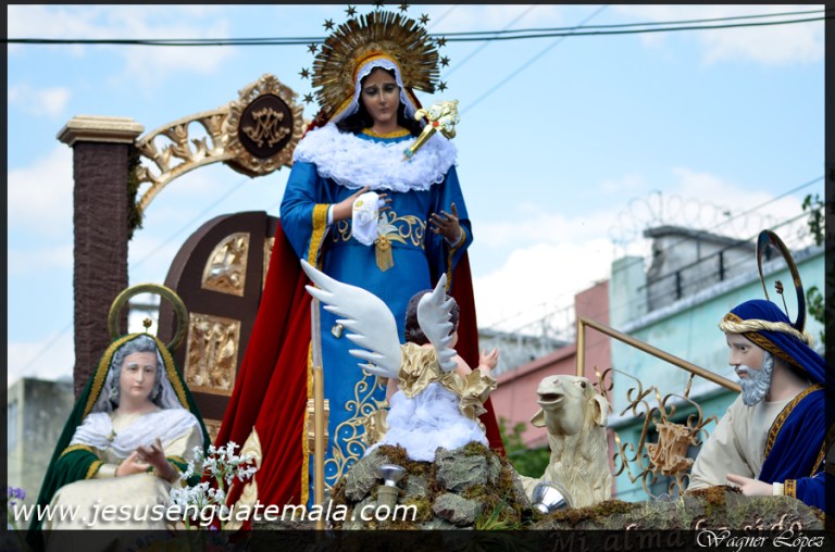 gallito6