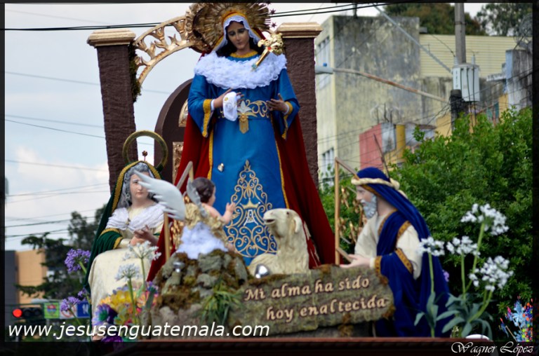 gallito8