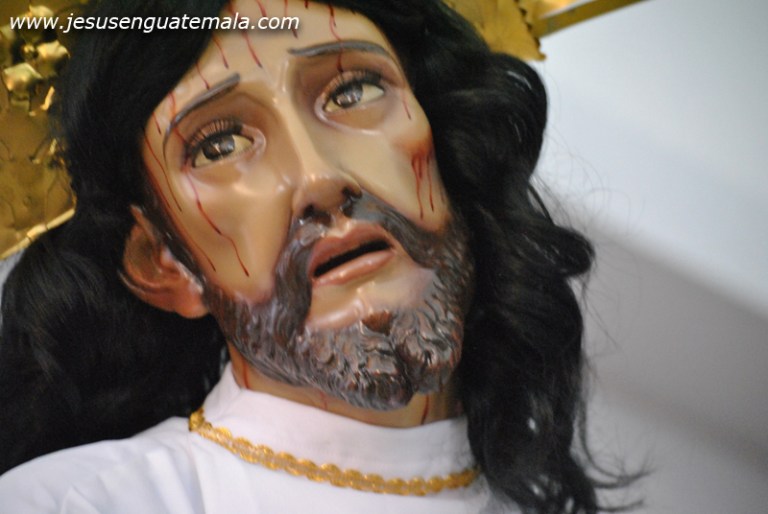 jngconcepasos dedfe 7