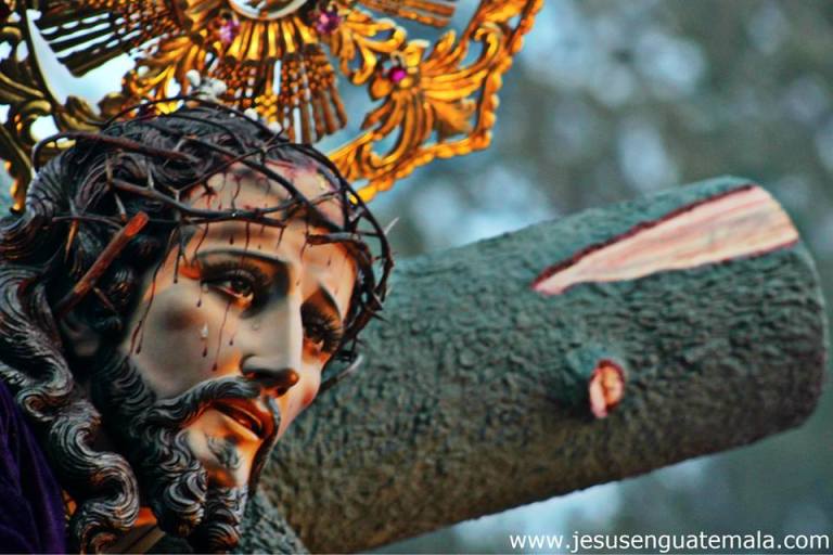 11016599_10203755262594280_315439294_n