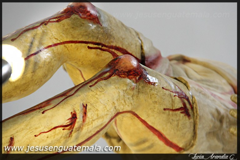 sepultado stacatalina013