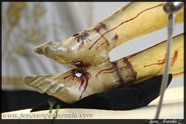 sepultado stacatalina016