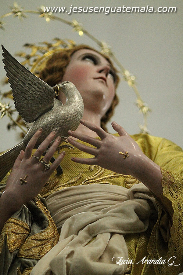 inmaculadacatedralrezado09