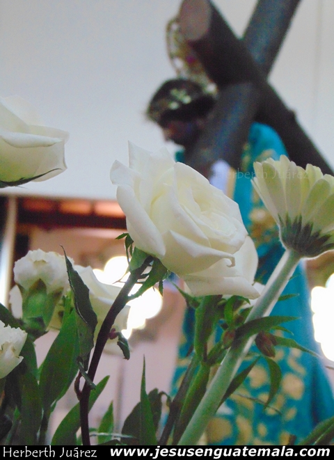 soberano de la fe 17