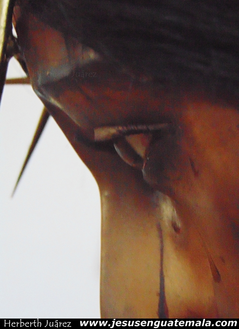 soberano de la fe 19