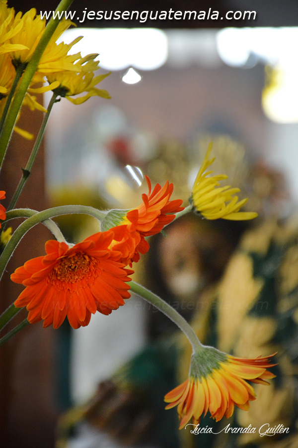 xxx aniversariosepultadosanfelipe 014